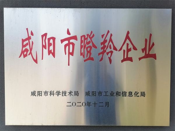 瞪羚企業